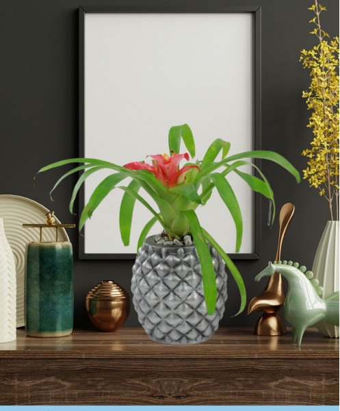 Saksı Çiçek Kaktüs Saksısı Lüx 15 cm Gümüş Eskitme Varak Boyalı Ananas Desenli 2'li Set Çiçeklik